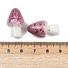 Mushroom Themes Resin Display Decorations DJEW-S002-01C-4