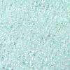 TOHO Round Seed Beads SEED-JPTR08-0170-2
