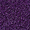 MIYUKI Delica Beads X-SEED-J020-DB0281-3