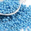 Baking Paint Glass Seed Beads X1-SEED-A032-02G-1