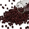 TOHO 6/0 Round Beads SEED-TR06-0046-1