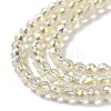 Electroplate Transparent Glass Beads Strands GLAA-H021-01B-FR04-5