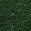 Baking Paint Glass Seed Beads SEED-H002-I-A520-3