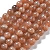 Natural Sunstone Round Bead Strands G-F266-11-8mm-01-1