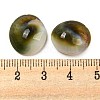 Conch Sea Shell Cabochons BSHE-Z005-08-3