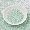 MIYUKI Delica Beads SEED-X0054-DB1506-2