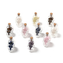 Mixed Gemstones Chips in Skull Glass Bottle Display Decorations DJEW-G039-02