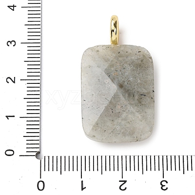 Natural Mixed Stone Faceted Pendants G-B186-01G-1