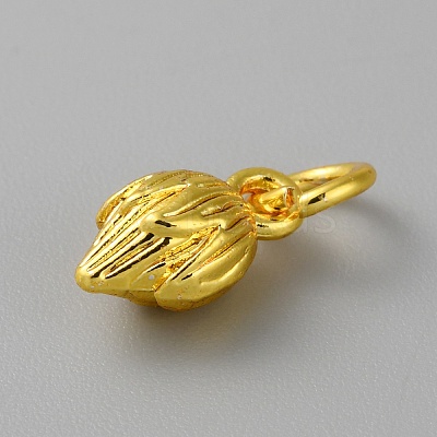Alloy Pendants FIND-WH0159-63G-19-1