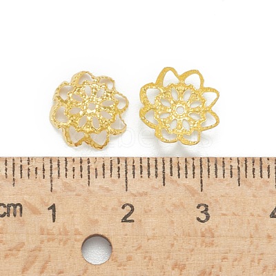 Iron Fancy Bead Caps IFIN-ZX1173-G-1
