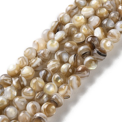 Natural Freshwater Shell Beads Strands SSHEL-B002-15-1