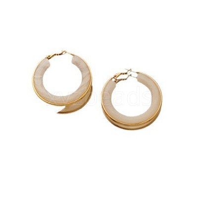 304 Stainless Steel Acrylic Hoop Earrings FS-WG57303-09-1