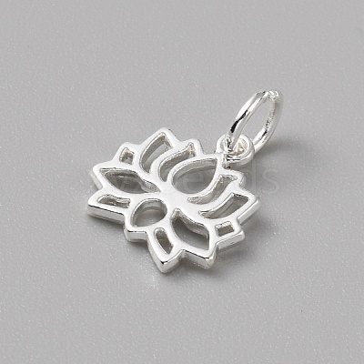 Brass Charms LS-FIND-WH0159-63S-05-1