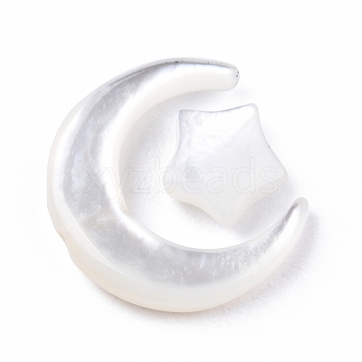 Natural White Shell Beads Sets SSHEL-N032-52B-01-1