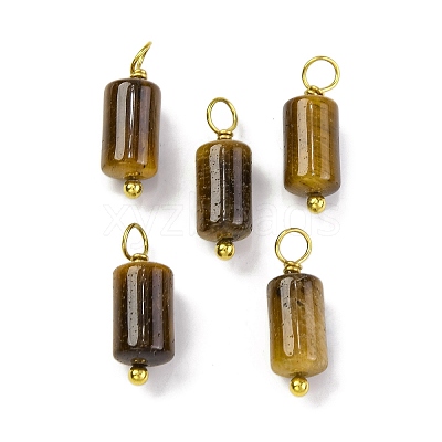 Natural Tiger Eye Cloumn Pendants STAS-H221-04G-02-1