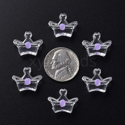 Transparent Acrylic Beads MACR-S373-105-B02-1