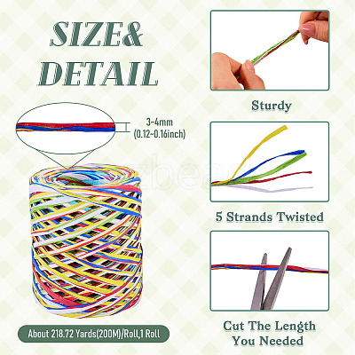 Raffia Ribbon OCOR-TA0004-21B-1