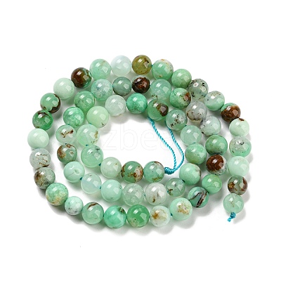Natural Chrysoprase Beads Strands G-P503-8MM-03-1