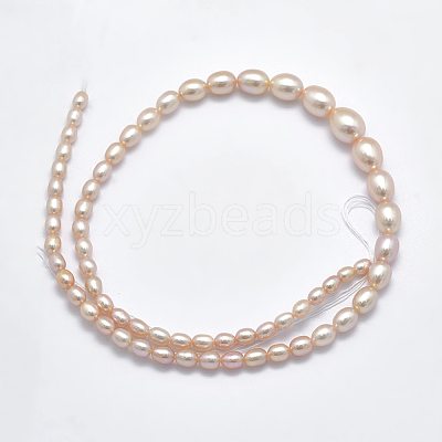 Natural Cultured Freshwater PearlBeads Strands PEAR-K003-21A-1
