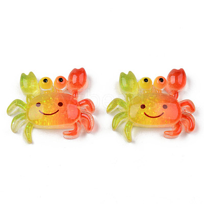 Rainbow Resin Cabochons X-CRES-N024-40-1