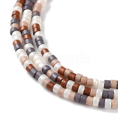 Handmade Lampwork Beads Strands LAMP-L078-008J-1