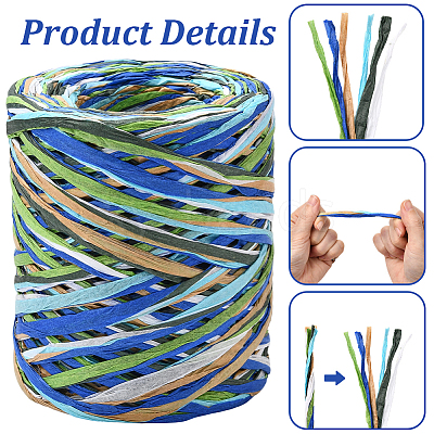 Segment Dyed Raffia Paper Cords for DIY Craft OCOR-WH20020-27B-1