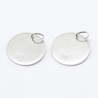 925 Sterling Silver Pendants STER-K167-006C-S-1