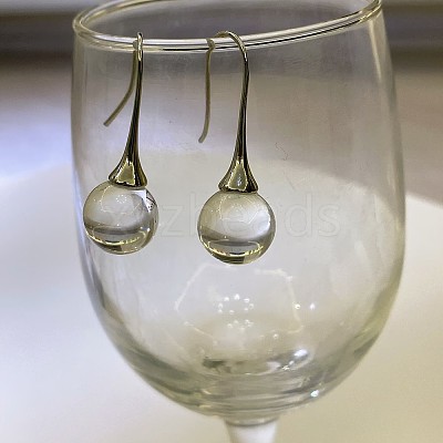 Alloy Resin Dangle Earrings WG2F2FE-01-1