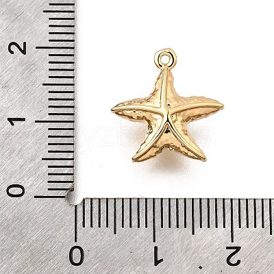 Brass Pave Clear Cubic Zirconia Charms KK-C096-14B-G-1