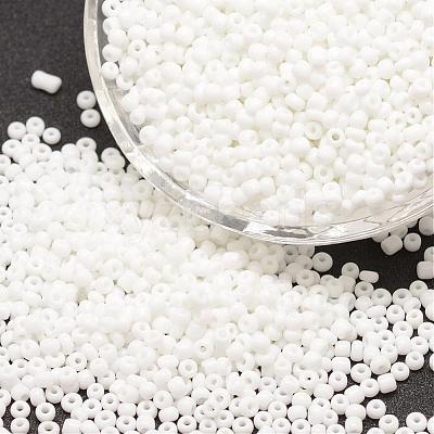 6/0 Glass Seed Beads SEED-J014-F6-41-1
