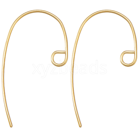 Beebeecraft 40Pcs Brass Earring Hooks KK-BBC0010-19G-1