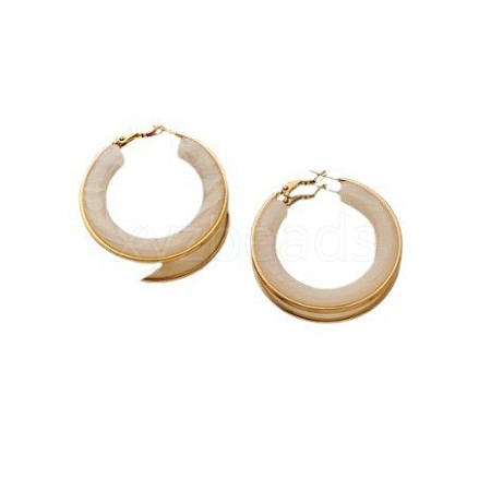 304 Stainless Steel Acrylic Hoop Earrings FS-WG57303-09-1