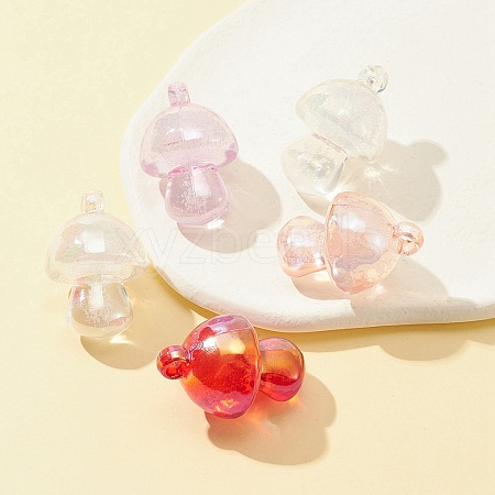 Transparent Acrylic Pendants MACR-FS0001-54-1