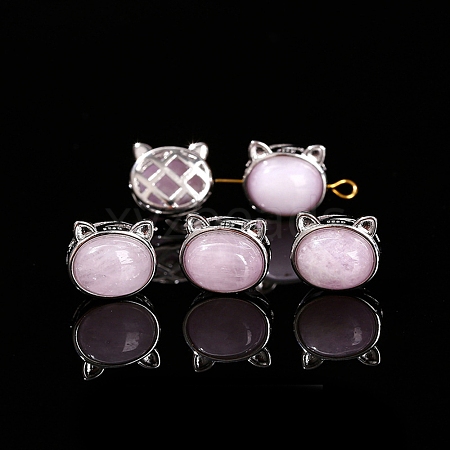 Natural Kunzite Beads PW-WG2C262-06-1