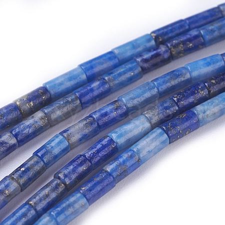 Natural Lapis Lazuli Beads Strands G-G783-01-1