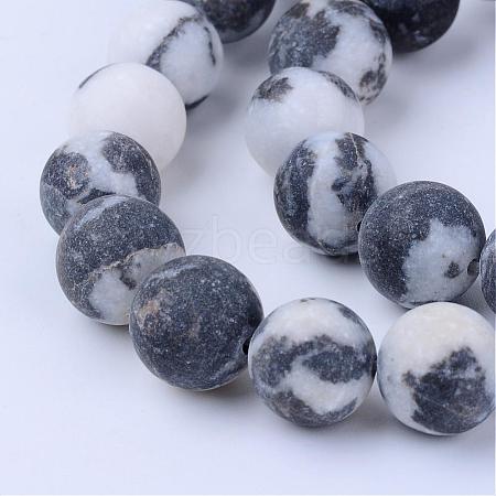 Natural Zebra Jasper Beads Strands G-Q462-8mm-01-1