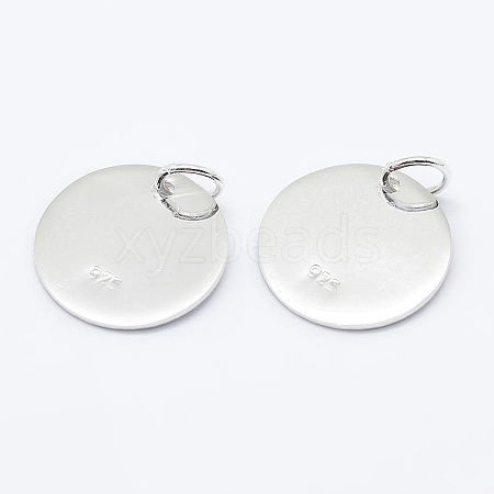 925 Sterling Silver Pendants STER-K167-006C-S-1