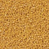 MIYUKI Delica Beads SEED-MY11-DB0651-3