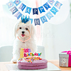 Olycraft Pet Birthday Party Supplies DIY-OC0004-37-7