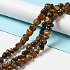 Natural Tiger Eye Beads Strands G-P489-01-2