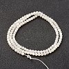 Natural White Shell Beads Strands X-G-G680-54-2
