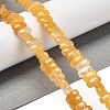 Natural Topaz Jade Beads Strands G-Q167-B13-01-2