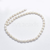 Natural Cultured Freshwater Pearl Beads Strands PEAR-F007-73-2
