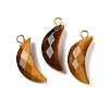 Natural Tiger Eye Pendants G-L614-D05-G04-1