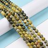 Natural Yellow Turquoise(Jasper) Beads Strands GSR10mmC007-2