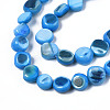 Natural Trochid Shell/Trochus Shell Beads Strands SHEL-S258-083-B04-3