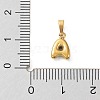 316L Surgical Stainless Steel Charms LS-STAS-G315-01G-A-3
