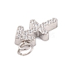 316 Stainless Steel Micro Pave Cubic Zirconia Pendants STAS-K284-01F-P-2