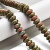 Natural Unakite Beads Strands G-P559-A06-02-2