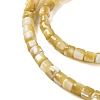 Natural Trochus Shell Beads Strands BSHE-S304-09A-3